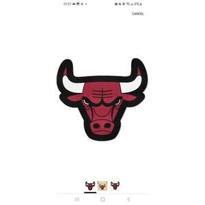 Chicago Bulls Logo Area Rug - 33" x 30"